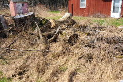 187367555_4175495412493940_1824794738068896612_n-Large