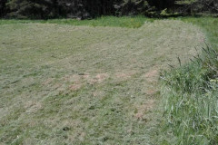 18740702_1450405515002957_4574534955711894296_n-Large