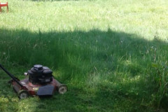 18765865_1450391725004336_8694163195100152840_n-Large