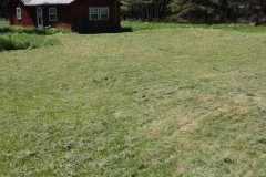 18767640_1450406058336236_5335121731305824178_n-Large