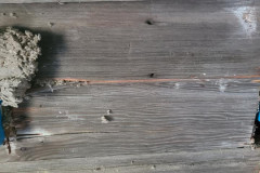 197944377_4253343004709180_5401360104194816625_n-Large