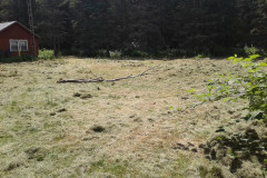 37161337_1865821380128033_4344650060340920320_n-Large