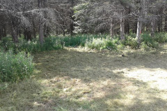 37167532_1865819983461506_3511074836073938944_n-Large