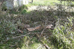 37193406_1865819610128210_6494417896502984704_n-Large