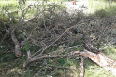 37193463_1865819733461531_7304185657486737408_n-Large