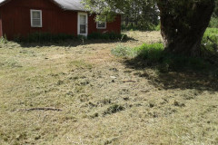 37249624_1865819926794845_1686866616165335040_n-Large