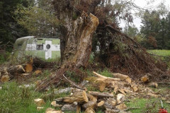 38207458_1894167393960098_4078569350225723392_n-Large