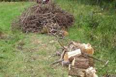 38232075_1894168040626700_807390470815612928_n-Large