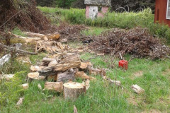 38277376_1894168143960023_7969656664947163136_n-Large