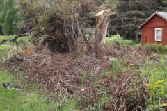 38392211_1894166847293486_8717009789386752_n-Large