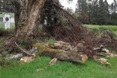 38411818_1894167193960118_3904298445145374720_n-Large