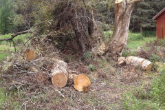 38458629_1894167720626732_4112931987696648192_n-Large