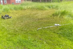 66296978_2395204537189712_5695497066835345408_n-Large