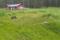 67095153_2427917530585079_7814494786626256896_n-Large