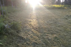 67171266_2427918677251631_6066043166979522560_n-Large