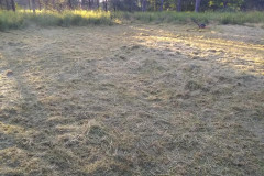 67259569_2427918560584976_8451195809625538560_n-Large