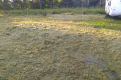 67278296_2427918433918322_6520606034388582400_n-Large