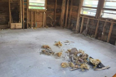 FB_IMG_1670000347972-Large