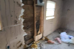 FB_IMG_1670000431487-Large