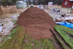 FB_IMG_1670000727536-Large.jpg