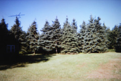 Digital Camera