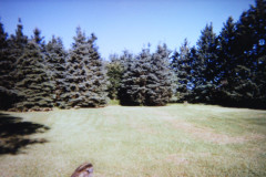 Digital Camera