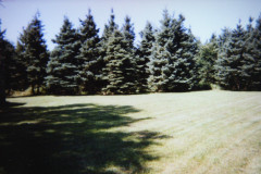 Digital Camera