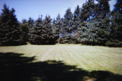 Digital Camera