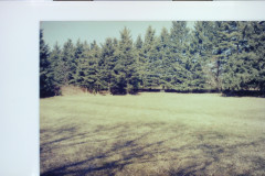 Digital Camera