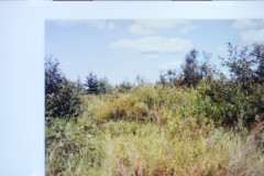 Digital Camera