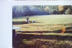 Digital Camera