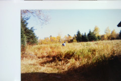 Digital Camera