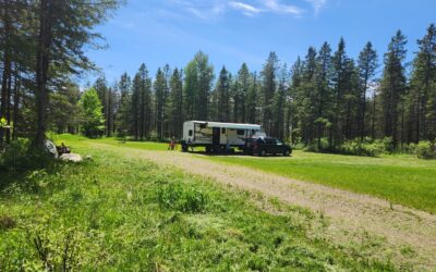 Yard Work – Mowing & Trimming