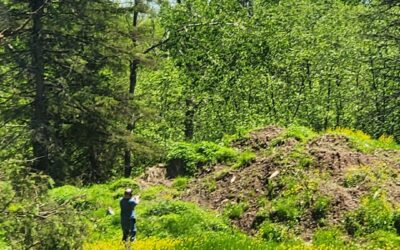 Shooting a Few Rounds