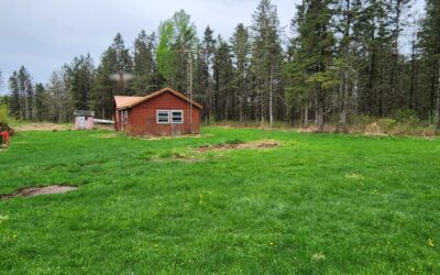 Clean Up & Exploration Continues