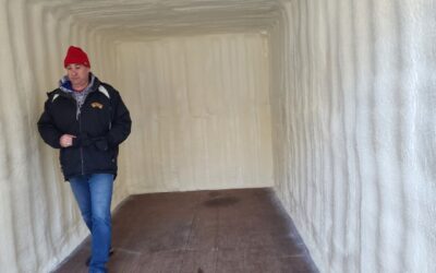 Friday Projects – Insulation/Down Tree