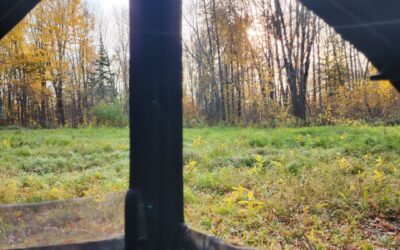 Blind #1